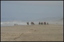 img_4671